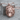Wild Wolf Pendant, rose gold plated product photo