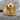 Triumphant Atlas Ring, gold vermeil finish, front studio view on stone