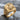 Lydian Lion Rosette Ring, gold vermeil finish, angled studio view