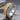 Rope Scroll Spinner Ring, two-tone finish, studio product photo