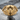 Burial Shroud Ring, gold vermeil, front view on stone