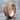 Rose Vine Skull Ring, rose gold, angled view on wet stone