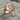 Chevron Armor Shield Ring in rose gold plated finish studio view