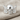 Spread Winged Skull Ring, polished silver, front view on linen fabric