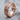 Celtic Quaternary Knot Ring in rose gold, angled product photo