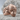Gorilla Laurel Ring, rose gold, product photo on stone surface