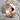 Prism Hoop Earring, rose gold, angled product view on stone