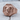 Octagonal Ram Head Ring, rose gold plated, front view on wood slab