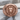 Lion Head Medallion Ring, rose gold, front view on stone