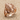 Murex Spiral Shell Ring, product photo, rose gold finish