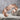 Gobeklitepe Fox Relief Bracelet, rose gold product view