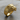 Premium gold vermeil lioness ring resting on a natural wooden surface highlighting majestic craftsmanship