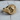 Angled view of the intricate Medusa skull ring resting on a textured wooden surface highlighting craftsmanship.