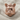 Rockstar Bulldog Ring in rose gold plated silver, front view