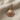 Ridged Scallop Shell Earring, rose gold, front view on fabric