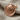 Scallop Shell Earring, rose gold finish, angled view on fabric