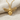 Spread Wing Honeybee Pendant, gold vermeil, front view on fabric