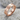 Sapere Aude Masonic Ring, rose gold finish on stone