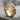 Chain spinner ring, gold vermeil, product photo on stone