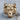 Taurus Bull Head Ring, gold vermeil, front view on stone surface