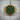 Vegvisir Green Enamel Ring, gold vermeil, product photo