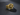 Knight Cross Ring, engraving example on inner band
