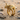 Golden 3D modeled elephant ring with detailed tusks and skin texture beautifully displayed on a natural sandy beach