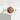 Ryu Dragon Kanji Ring, rose gold finish, front view on concrete block