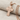 Russian Orthodox Cross Pendant, rose gold, product photo on linen fabric