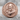 Padre Pio Ring, rose gold, front product view on stone