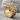 Interlocking Hoop Earring in gold vermeil, angled side view on rock