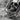 Shard Skull Ring, oxidized, close-up of skull relief and facets
