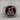Naga Fireball Signet Ring, oxidized, product photo