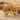 Rose Thorn Huggie Earring, gold vermeil, product photo