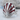 Burgundy Scallop Pinky Ring in polished silver finish