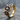 Midnight Star Stacking Ring, gold vermeil, product photo