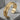 Feather Quill Spine Bracelet, gold vermeil finish, studio product photo