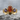 Carnelian Amethyst Crown Ring in gold vermeil, product photo on stone