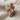 King lion crown pendant, rose plated silver, angled view on fabric