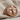 Crucifix Signet Ring, rose plated silver, product photo on linen fabric