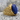 Lapis All Seeing Eye Ring, gold vermeil, side view on stone