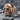 All-Seeing Eye Masonic Skull Ring, rose gold, front angled view on rock