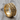 Ossuary Band Ring, gold vermeil, product photo on wood surface