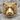 Tiger Face Ring, gold vermeil, front view on rock surface