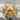Hannya Demon Mask Ring, gold vermeil finish, front view on stone