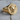 Medusa Skull Signet Ring, gold vermeil, angled product photo on wood