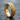 Baroque Double Scroll Ring, gold vermeil, studio product photo