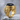 Lion of Judah Onyx Ring, gold vermeil, product photo