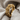 Rose Eternity Band Ring, gold vermeil, angled product photo