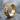 Gothic Lancet Spinner Ring, gold vermeil, product photo